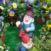 gnomes-292664-m