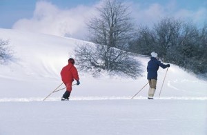 cross-country-skiers