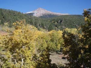 aspens-1183169-m