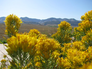 colorado-october-1346479