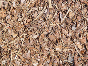 mulch-1154390