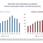 2016 Monthly Sales